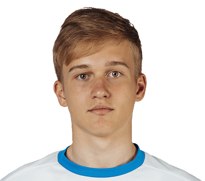 Вадим Ролдугин